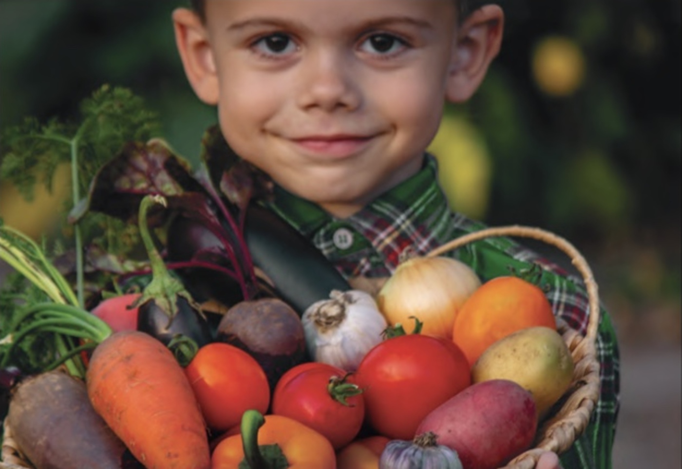 Fresh vegetables